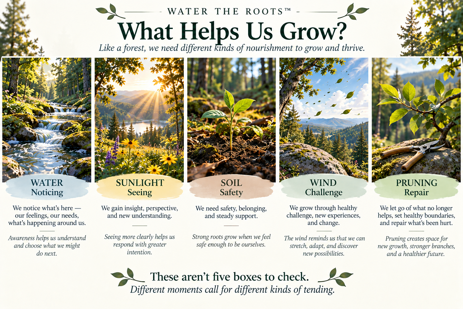 Water the Roots What Helps Us Grow: Water—Noticing, Sunlight—Seeing, Soil—Safety, Wind—Challenge, and Pruning—Repair